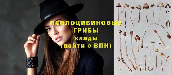 твердый Балабаново