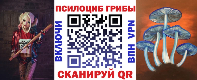 Псилоцибиновые грибы мухоморы  даркнет какой сайт  Нижняя Салда 